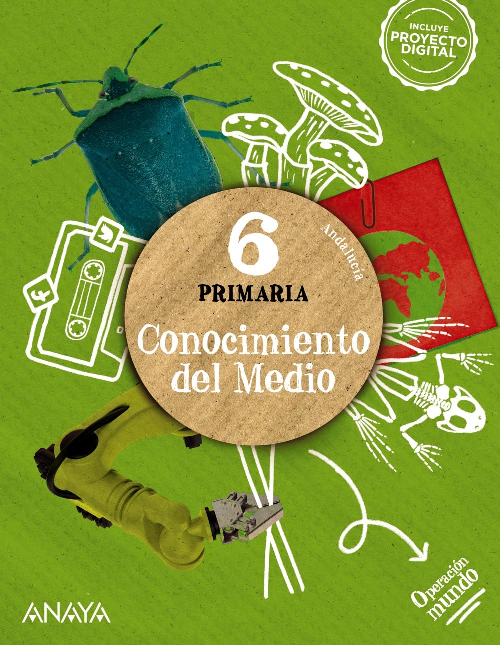 CONOCIMIENTO DEL MEDIO NATURAL, SOCIAL Y CULTURAL